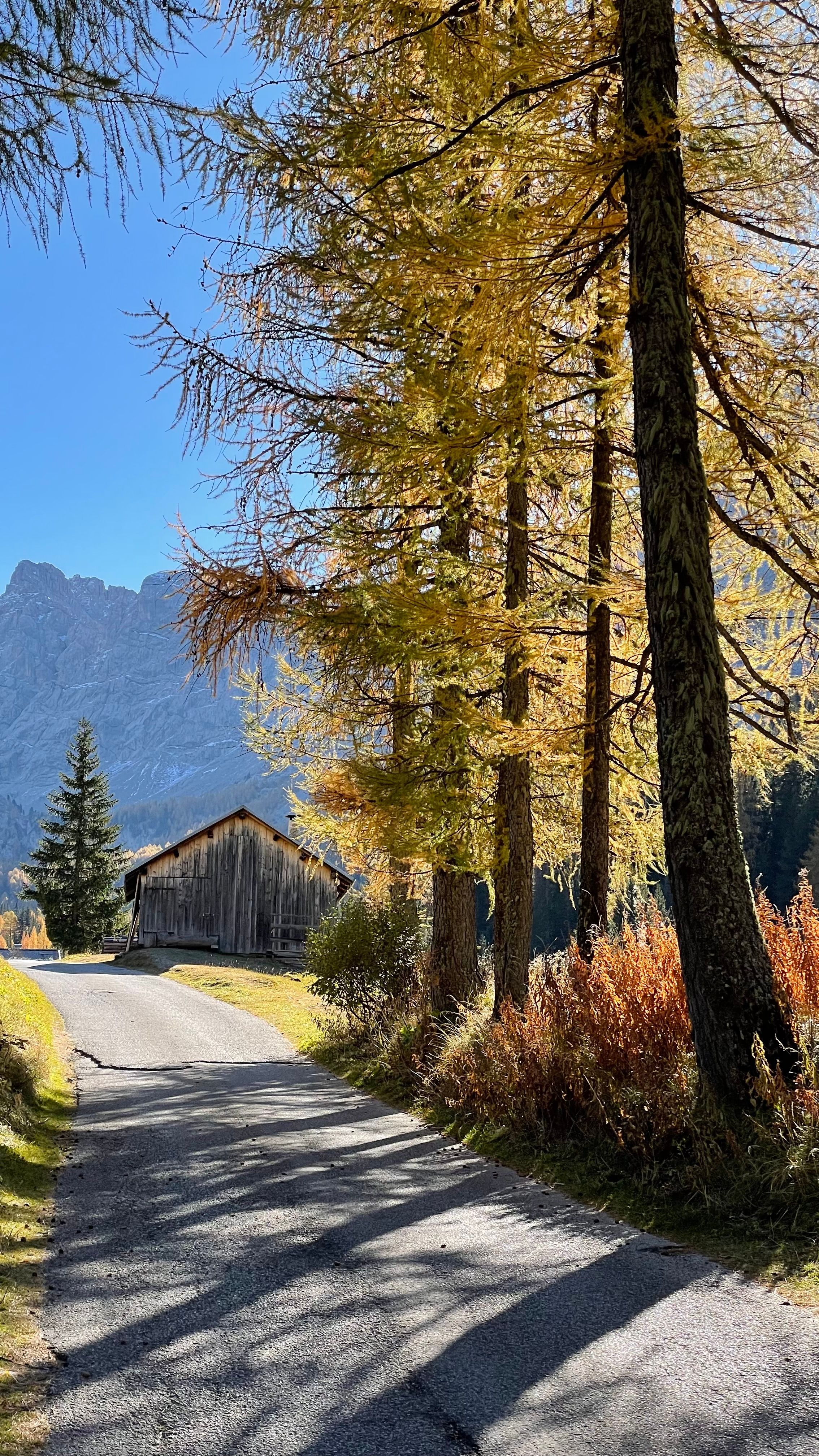 Scenic Autumn Landscape with Rustic Cabin · Free Stock Photo