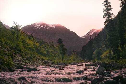 Photo by Danish Bashir