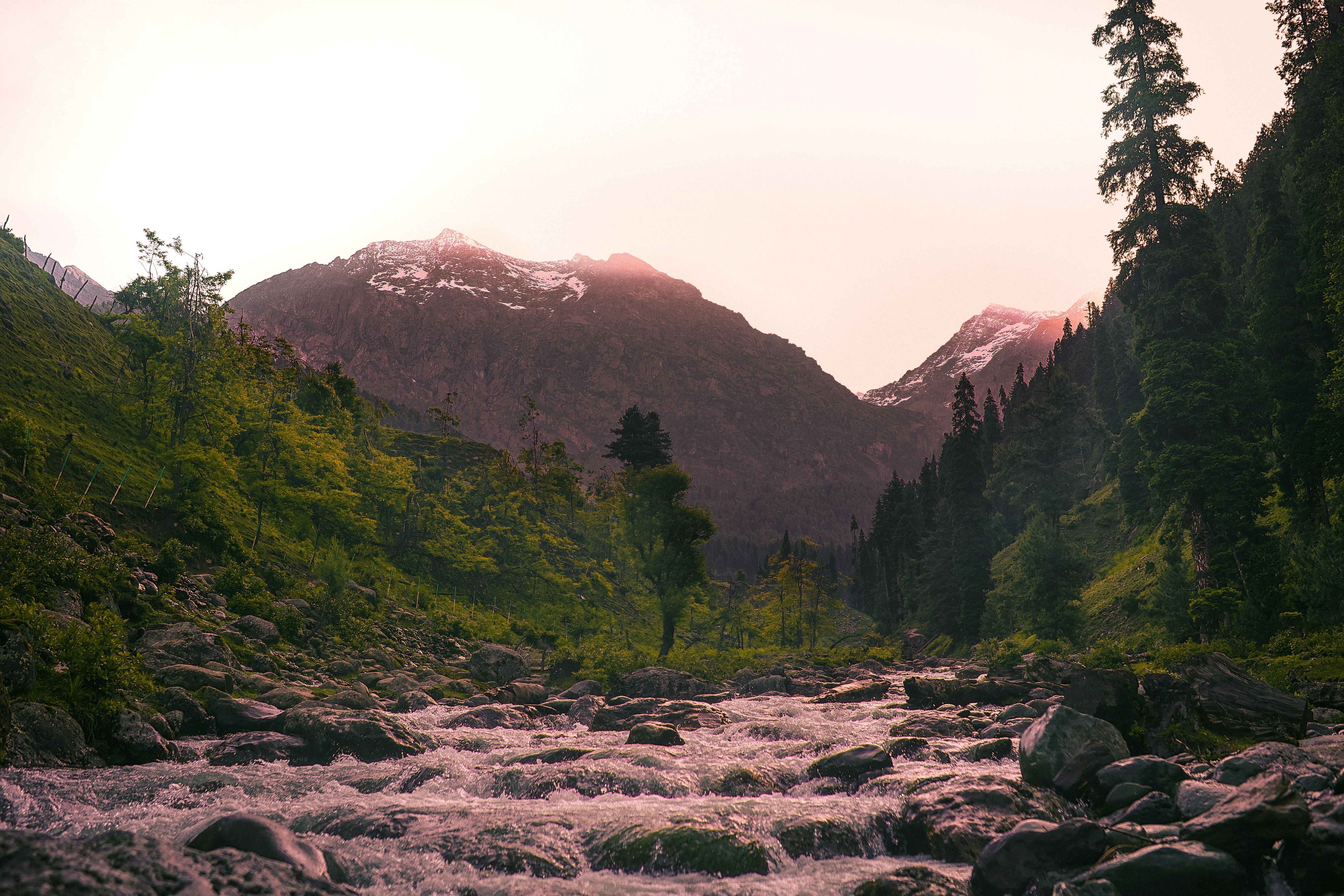 Scenic Mountain Stream with Forest and Sunlit Peaks · Free Stock Photo