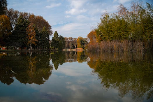 Captivating autumn foliage reflection on a tranquil lake in Bursa, Türkiye.