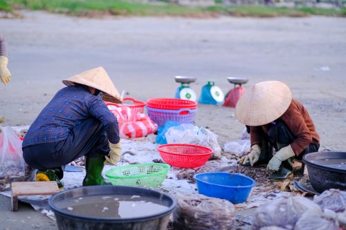 Free Local fishermen sorting their catch in colorful baskets on Da Nang beach, Vietnam. Stock Photo