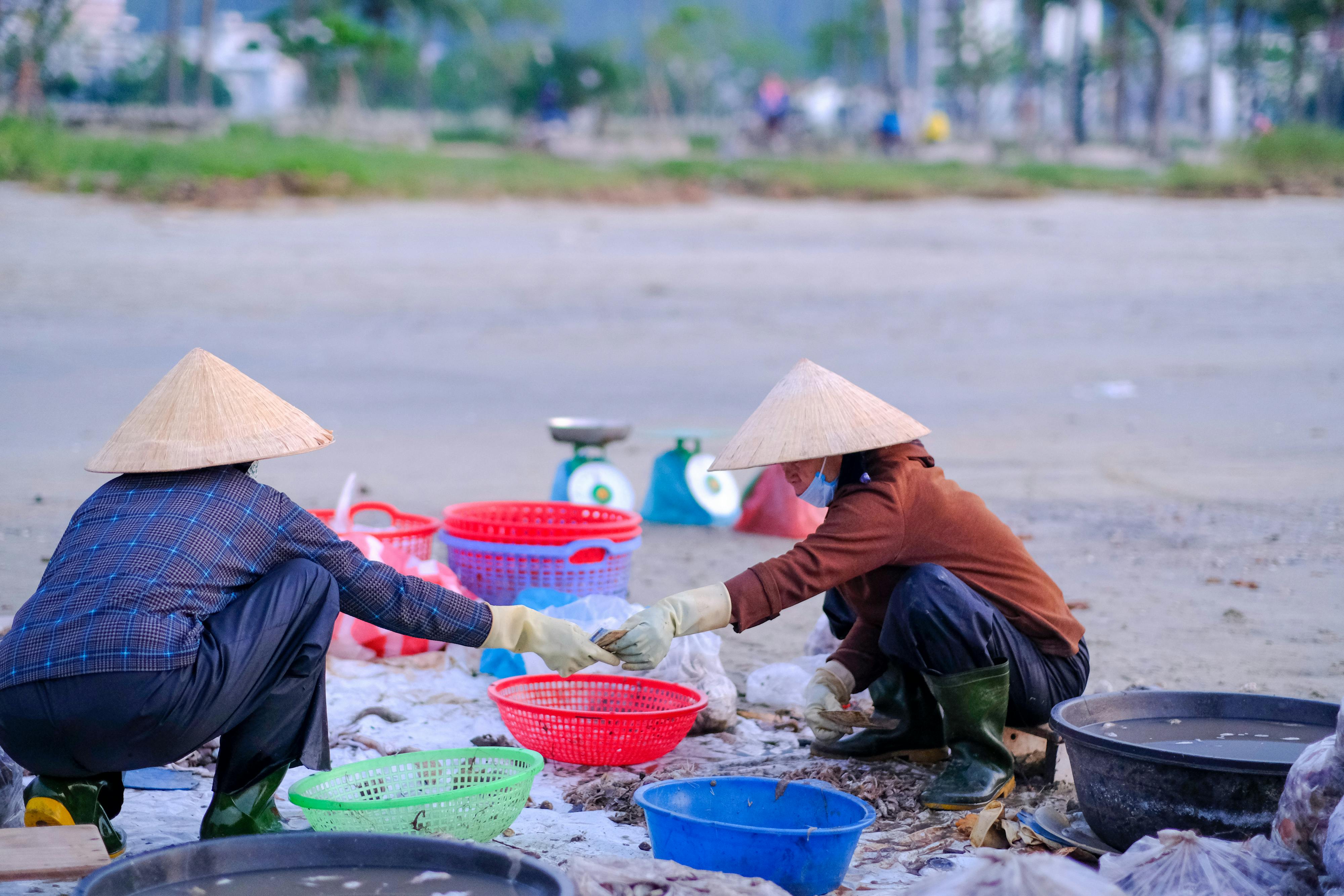 Trung tâm nghiên cứu văn học, phát triển nhà văn Việt Nam