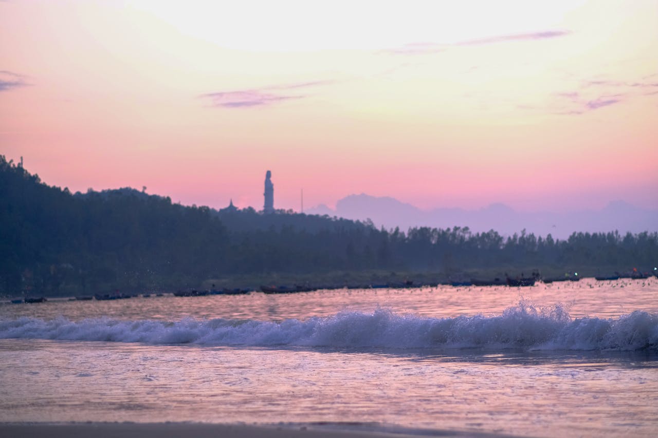 Cây cối phát âm thanh thể hiện sự căng thẳng