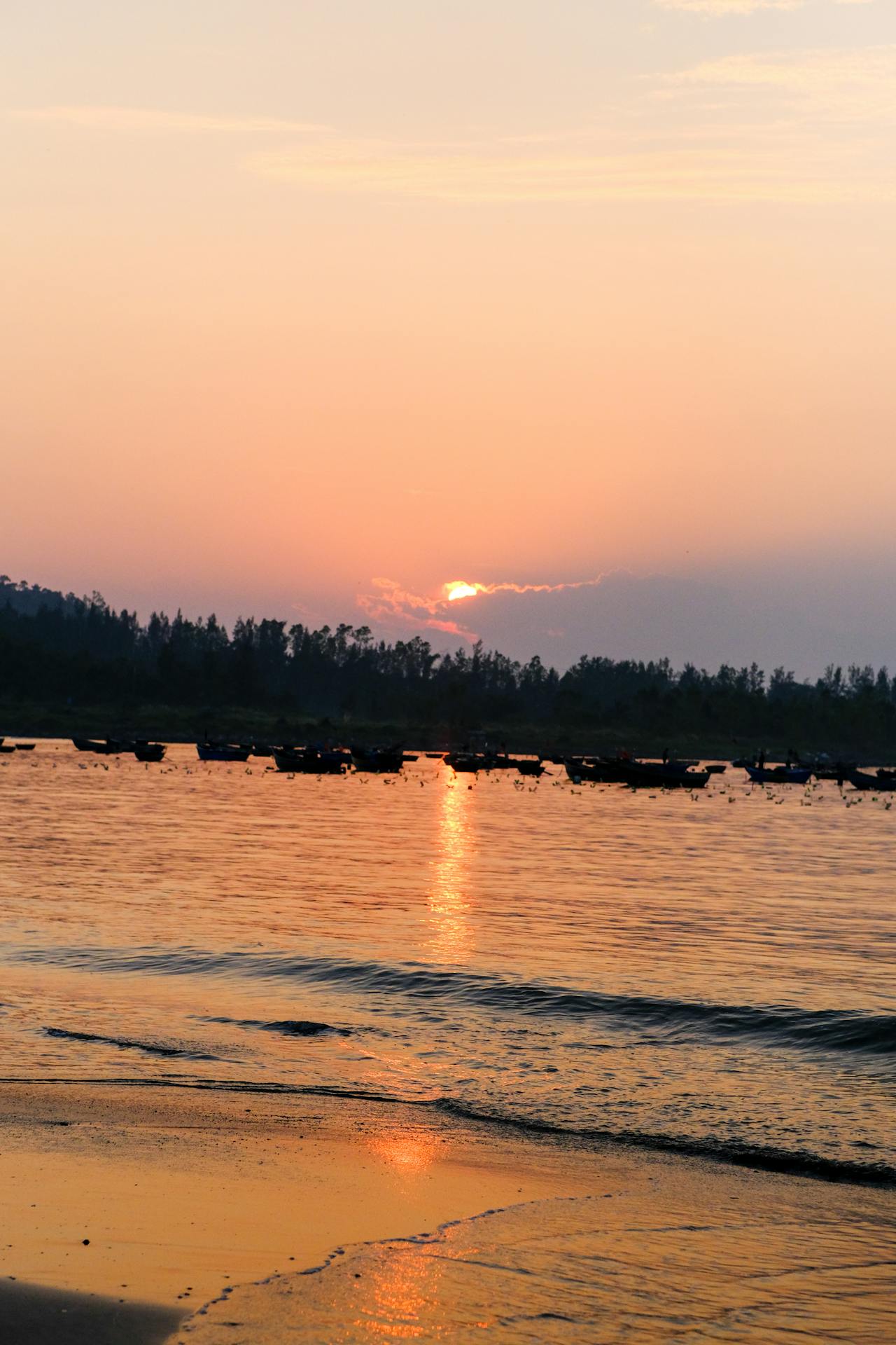 Thuật hoài (述懷)