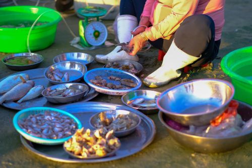 Free Vibrant seafood market in Da Nang, Vietnam showcasing fresh catch and local trade. Stock Photo