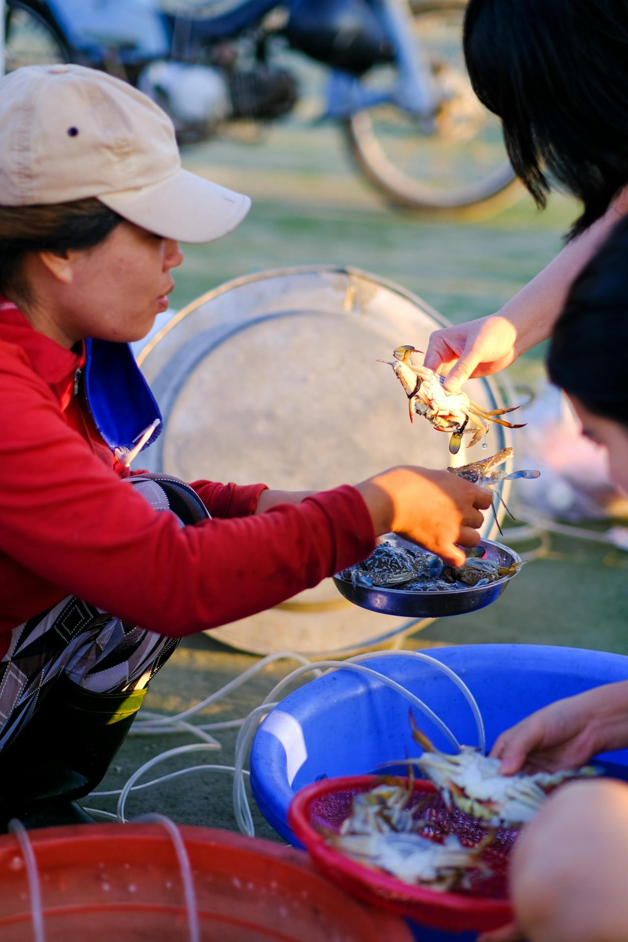 Biên niên ký chim vặn dây cót | Chương 21