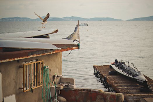 Created with RNI Films app. Profile 'Kodak Portra 400 Normalised'