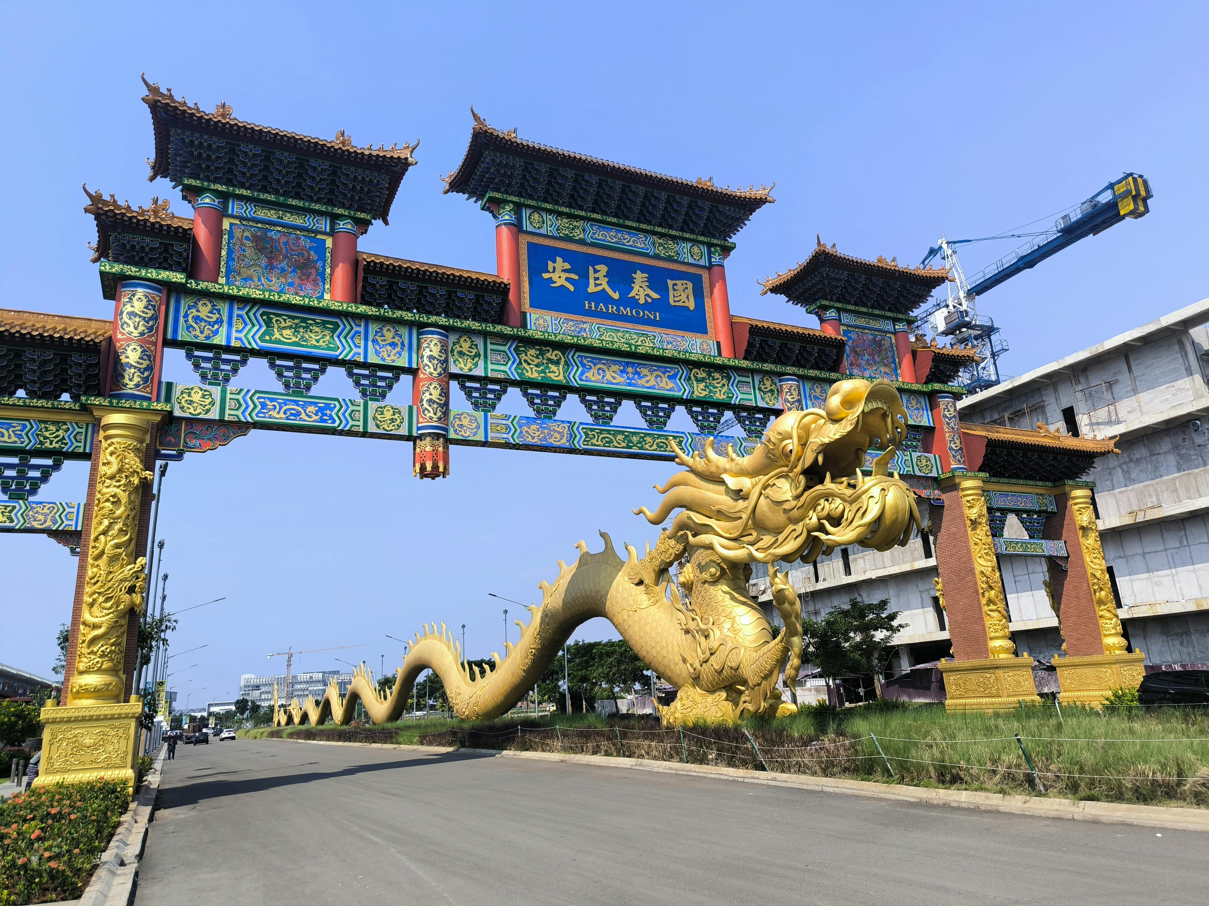 Socotra Dragon Trees, Yemen - travel photo