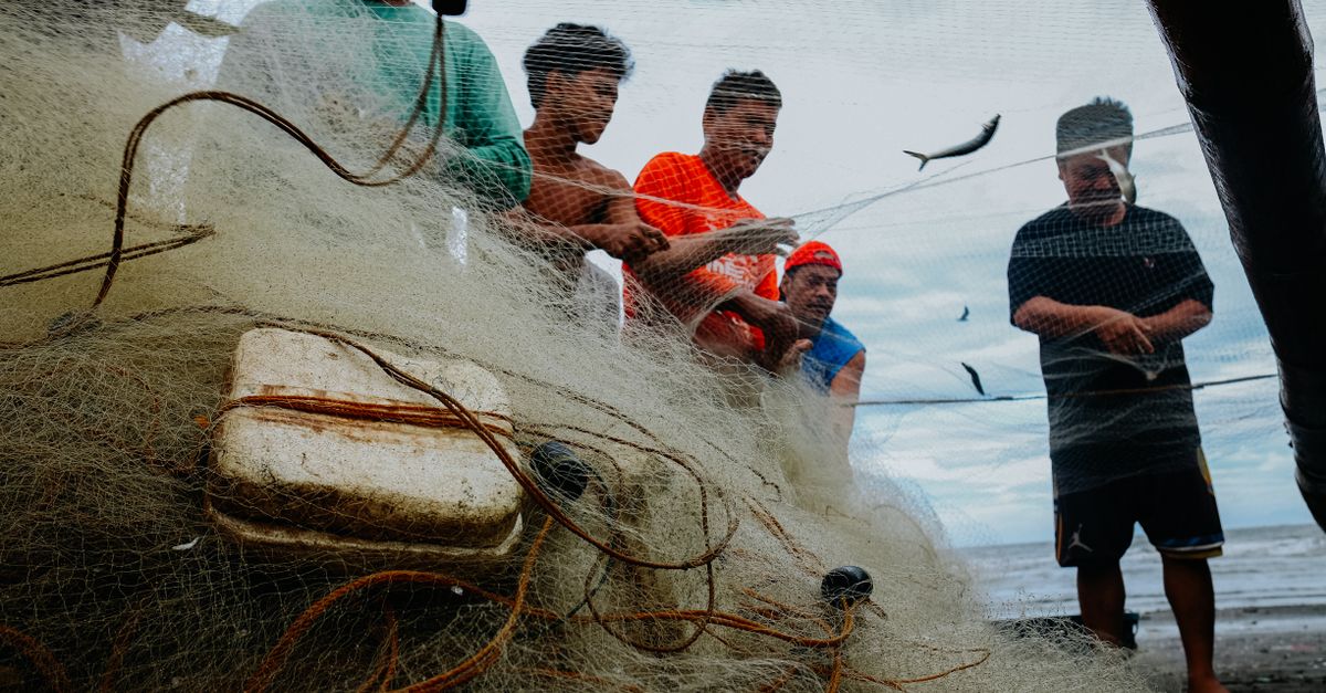 dreams of fisherman fishing with a net Alvinlite Foldable Circular Drawable 150cm High Strength Nylon Mesh Floating Shrimp Cage Crab Fish Trap Cast : Sports & Outdoors 16 Meanings When You Dream