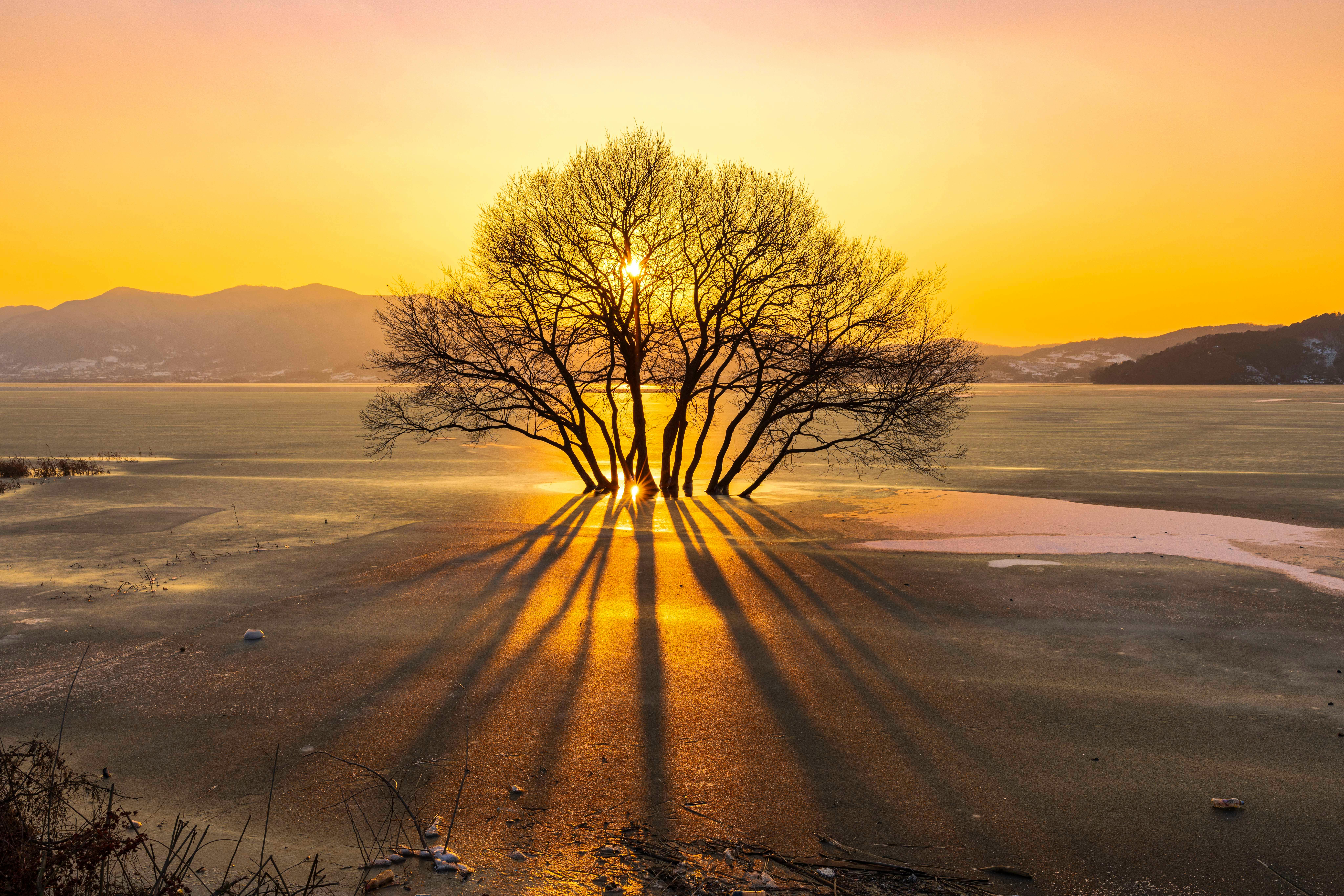 Free stock photo of adventure travel, evening sunlight, golden sunrise