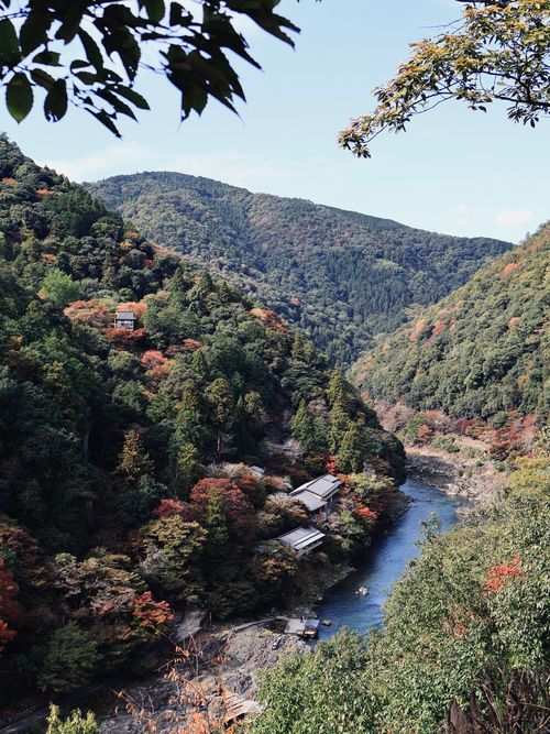Free Stunning autumn forest and river view in a mountainous landscape. Stock Photo