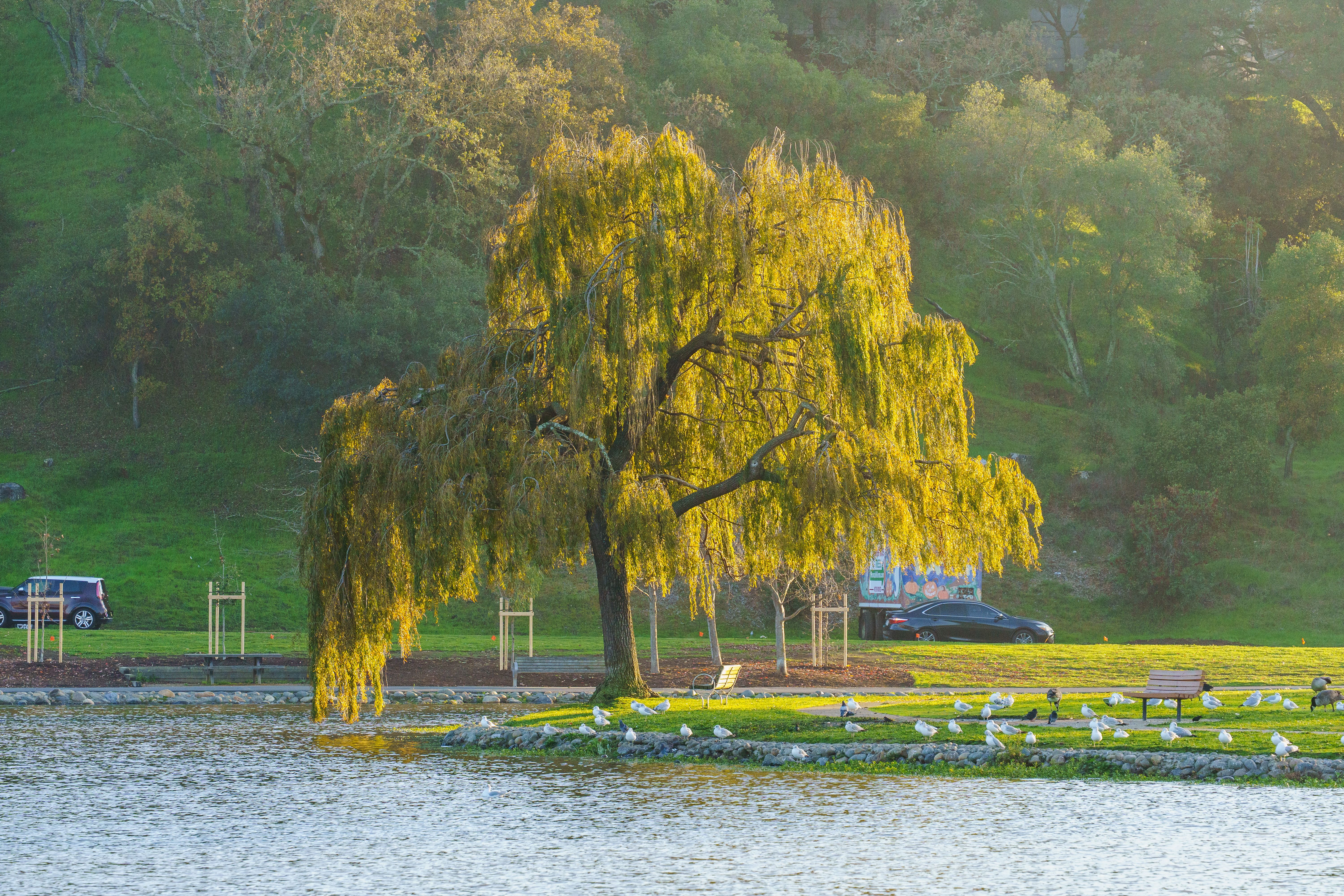 Glen Ellen — Glen Ellen