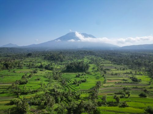 Free Aerial view of vibrant rice terraces and Mount Agung in Bali, Indonesia under a clear blue sky. Stock Photo