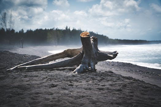 Captivating driftwood on a black sand beach in Bali, Indonesia under a cloudy sky.