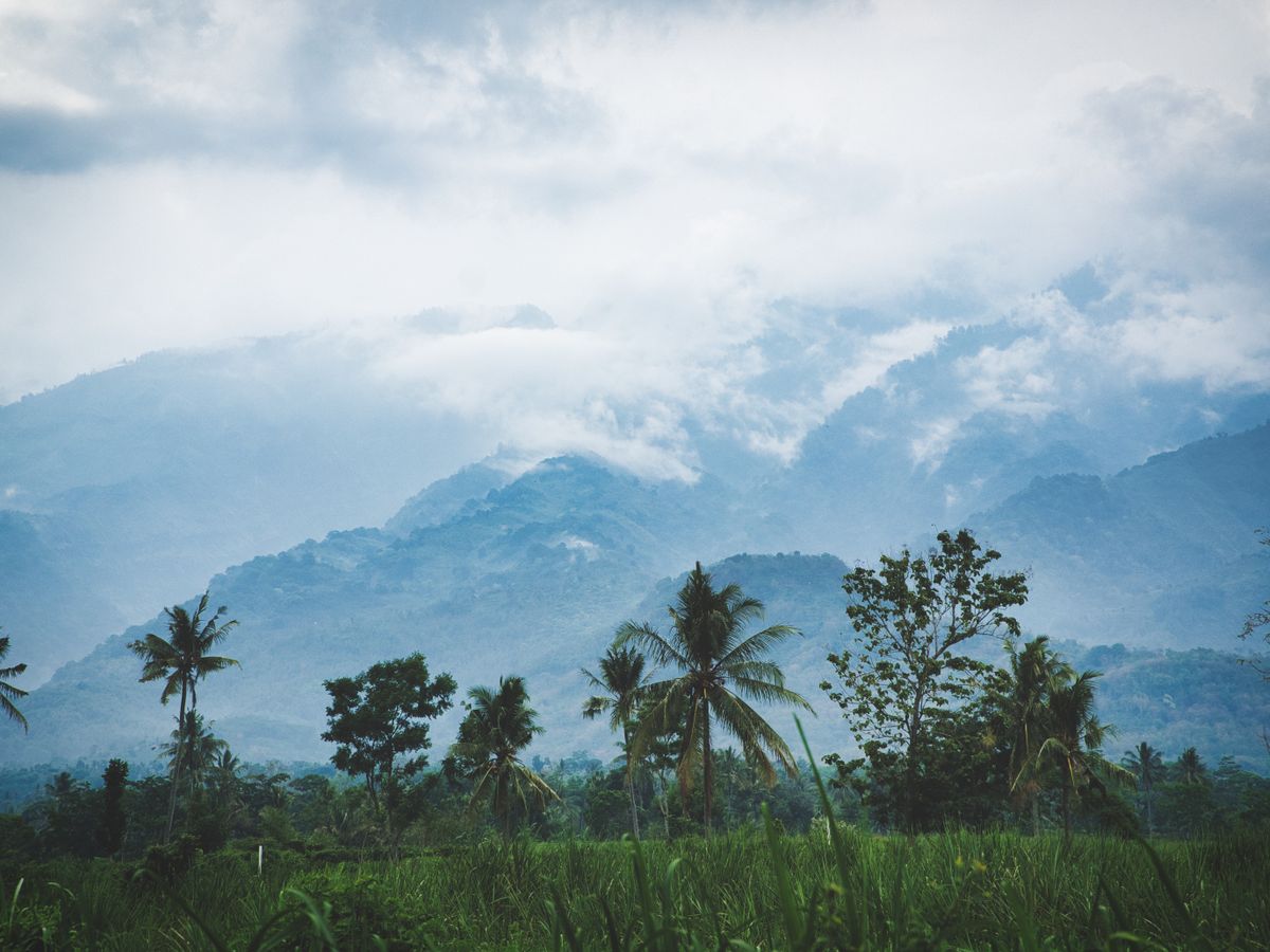 5 Day Couples 'ReKindle' Meditation & Yoga Retreat in Ubud, Bali 3