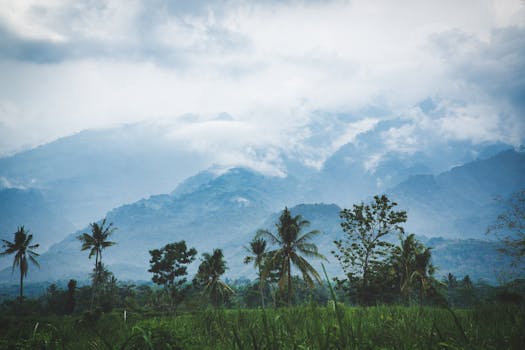 Photo by Wictor Sparrow