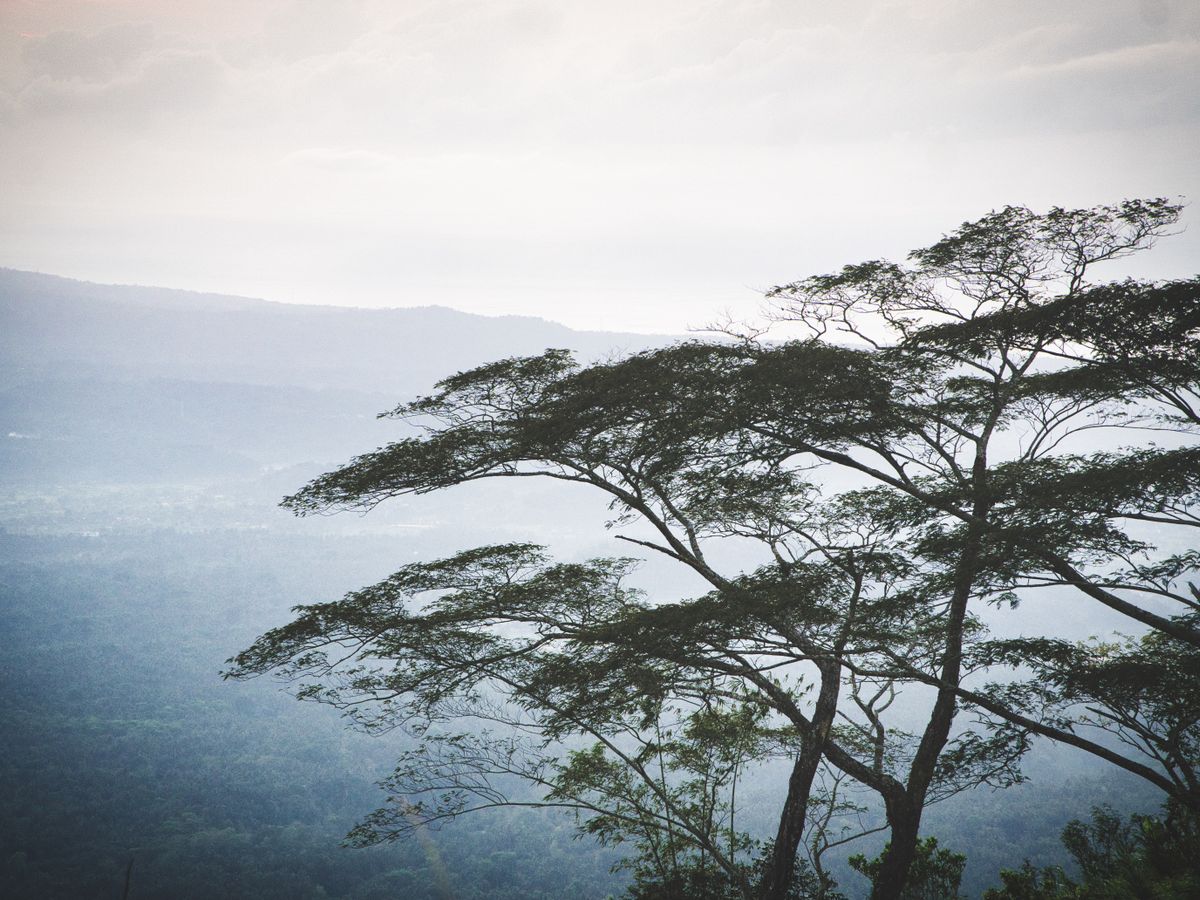 10 Day 'Eat, Pray, Love' Daily Spa, Yoga & Culture Retreat, Bali 3