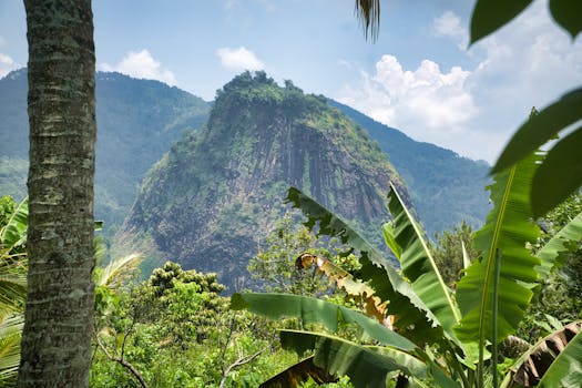 Stunning view of lush greenery and mountains in Bali, Indonesia, showcasing a vibrant tropical landscape.