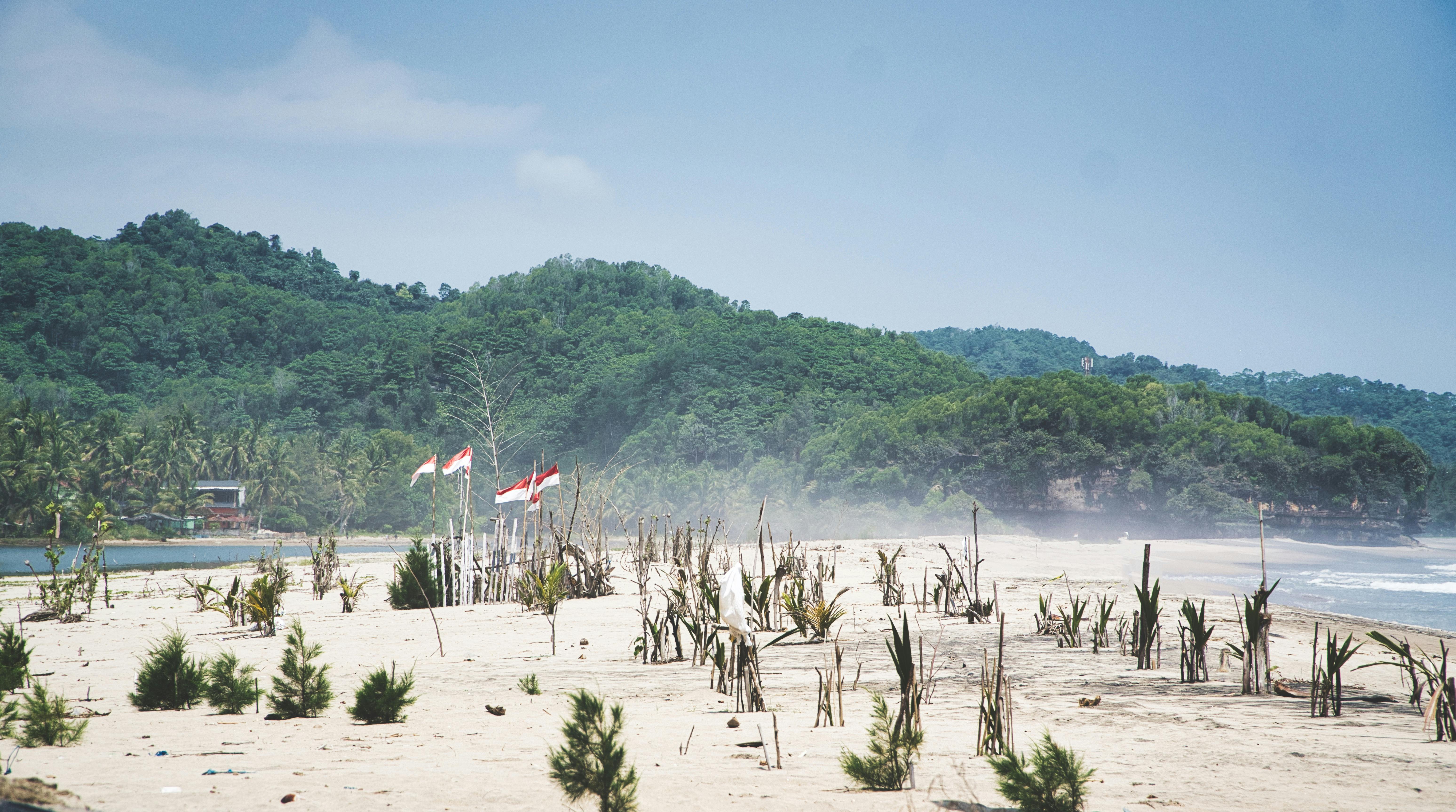 Thousands Demand Orban's Resignation Over Child Abuse Scandal
