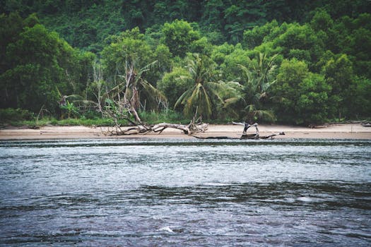 Serene tropical beach scene in Bali with lush greenery and calm waters.