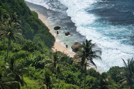 Stunning aerial view of a lush tropical beach in Bali, Indonesia, with clear blue waves and green palm trees.