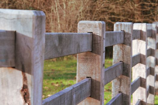Why Choose a Vinyl Fence for Your Home Garden Structure?