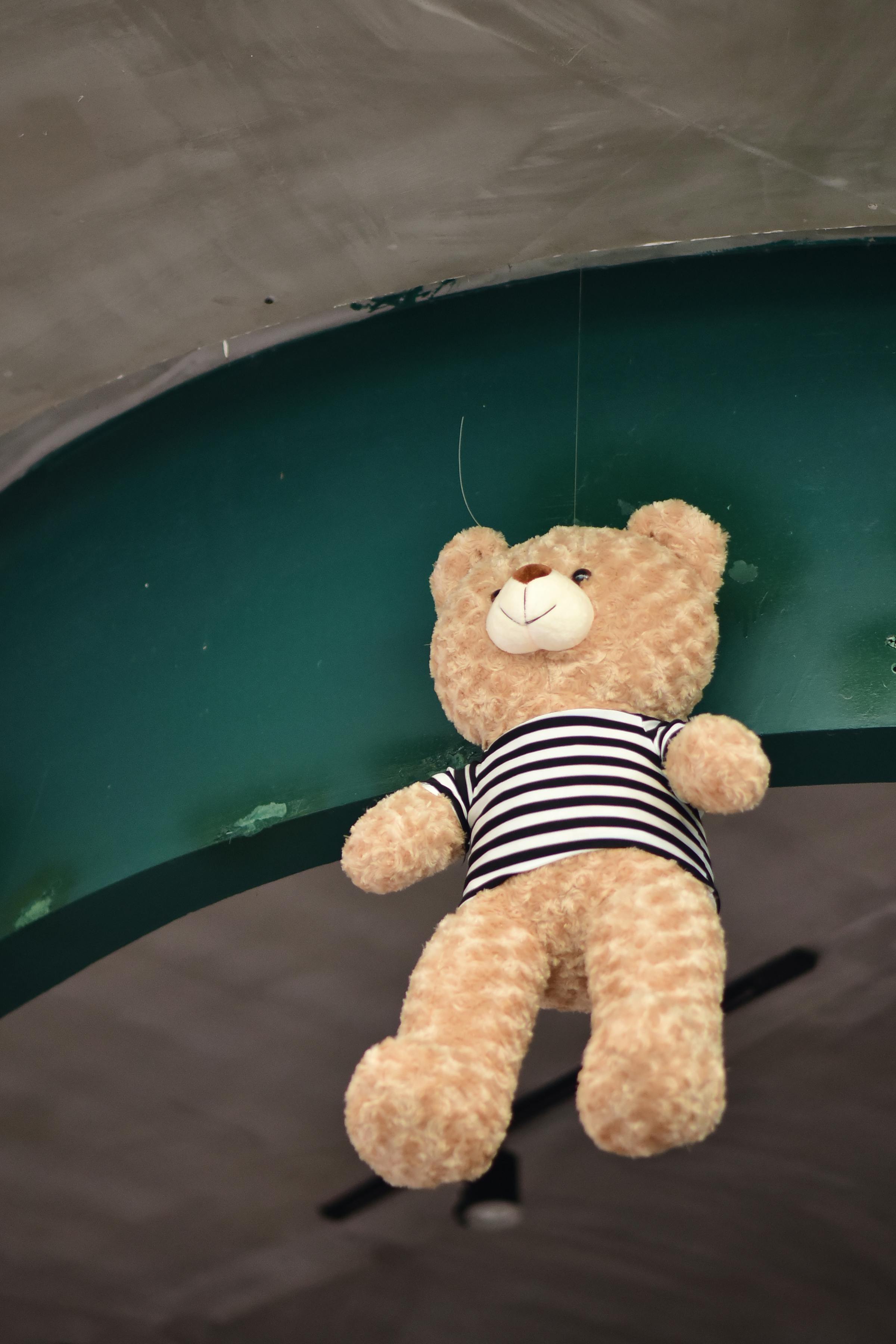 Bear Greg - Eon 01 Eon