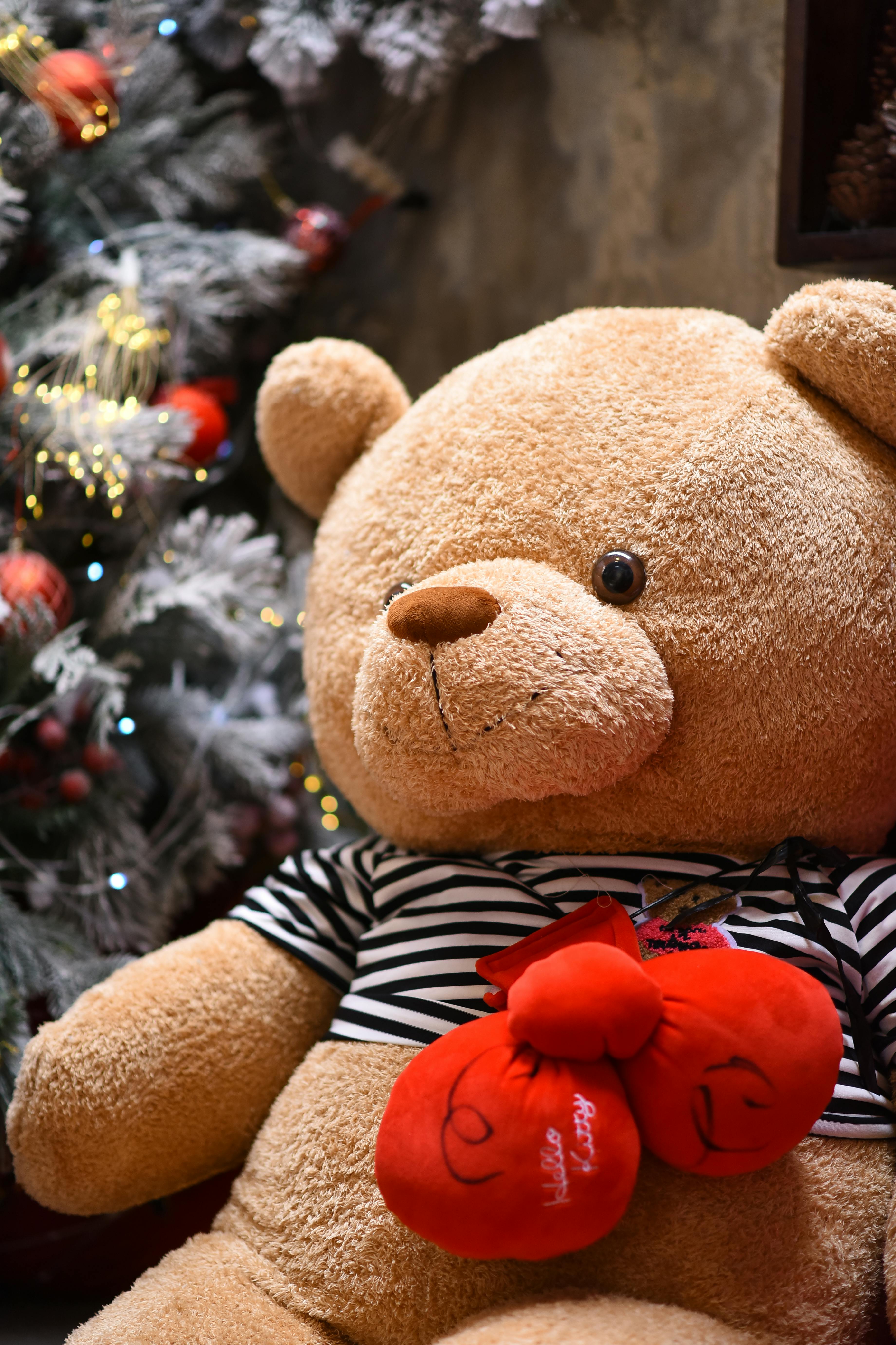 Bear Greg - Apollo At 25