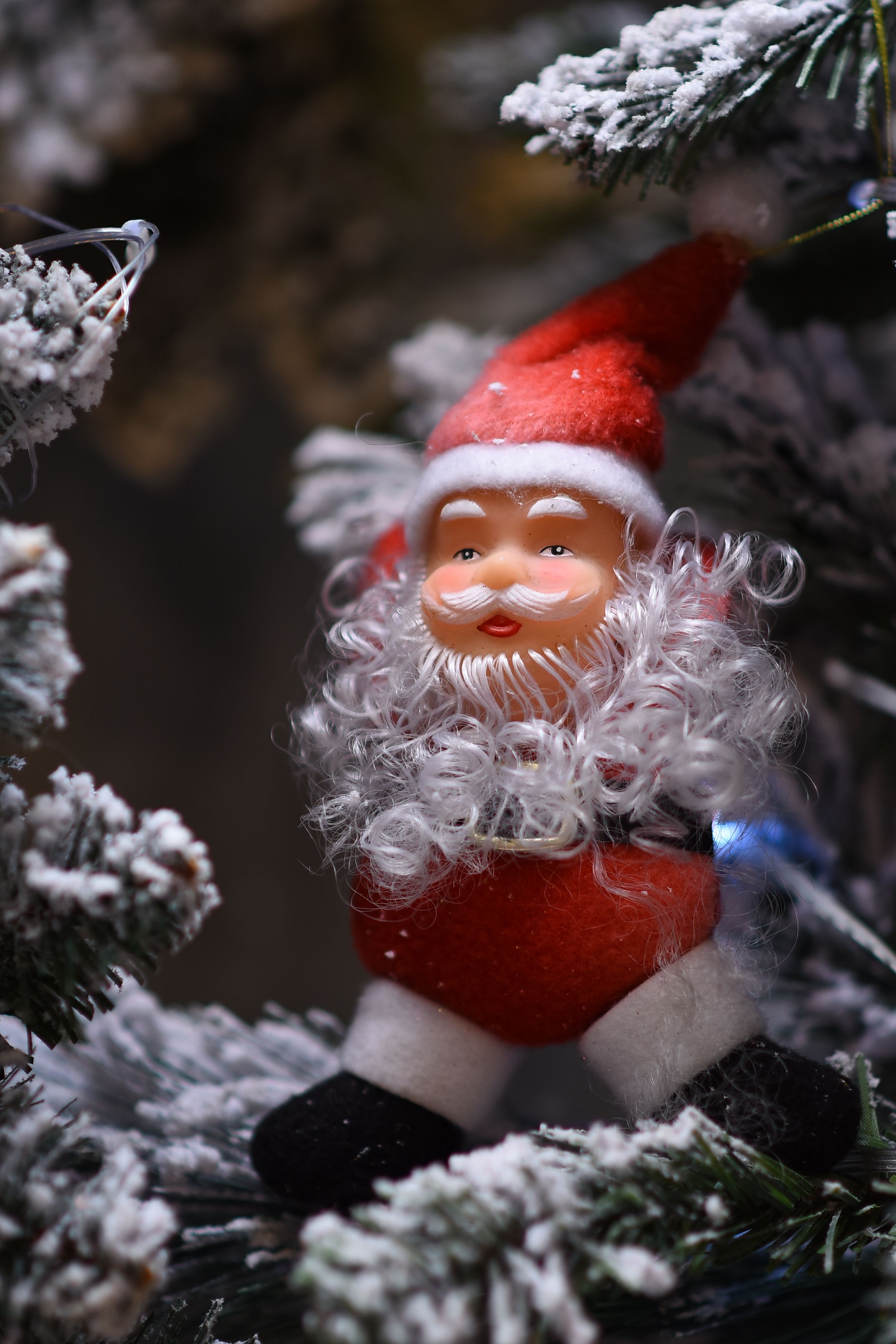 Zadarmo Detailný záber figúrky Santa Clausa na zasneženom konári. Ideálne pre vianočné motívy. Fotka z fotobanky