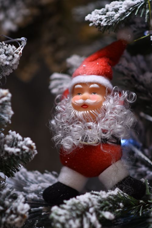 Zadarmo Detailný záber figúrky Santa Clausa na zasneženom konári. Ideálne pre vianočné motívy. Fotka z fotobanky
