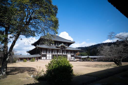 Nara, Japan photo 21