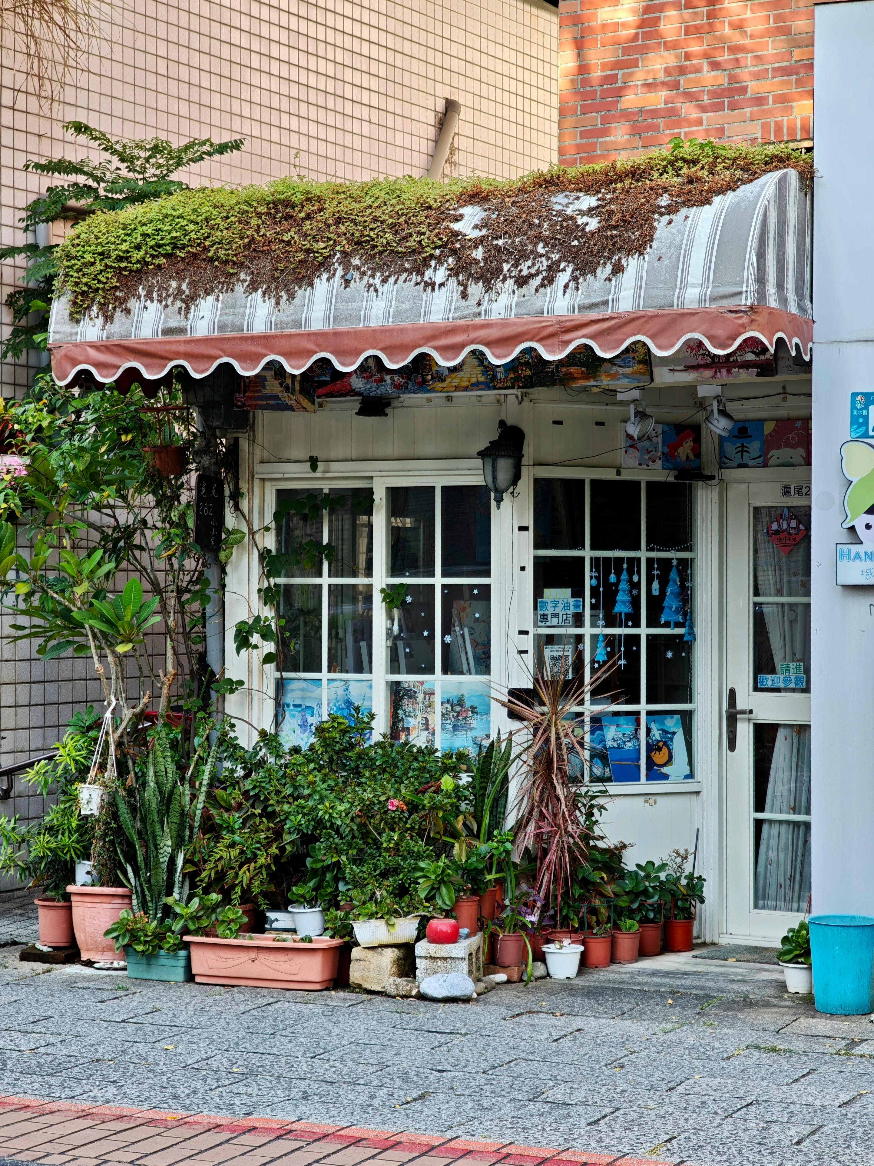 Cozy shop entrance adorned with various potted plants and green awning.