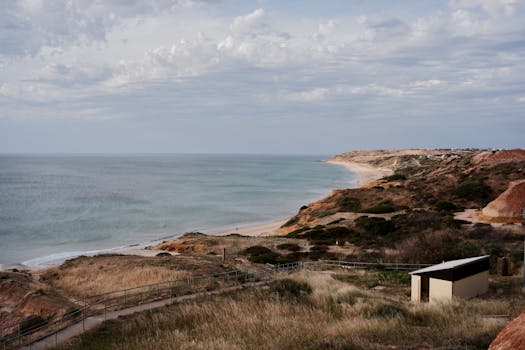 Photo by Thomas Hoang