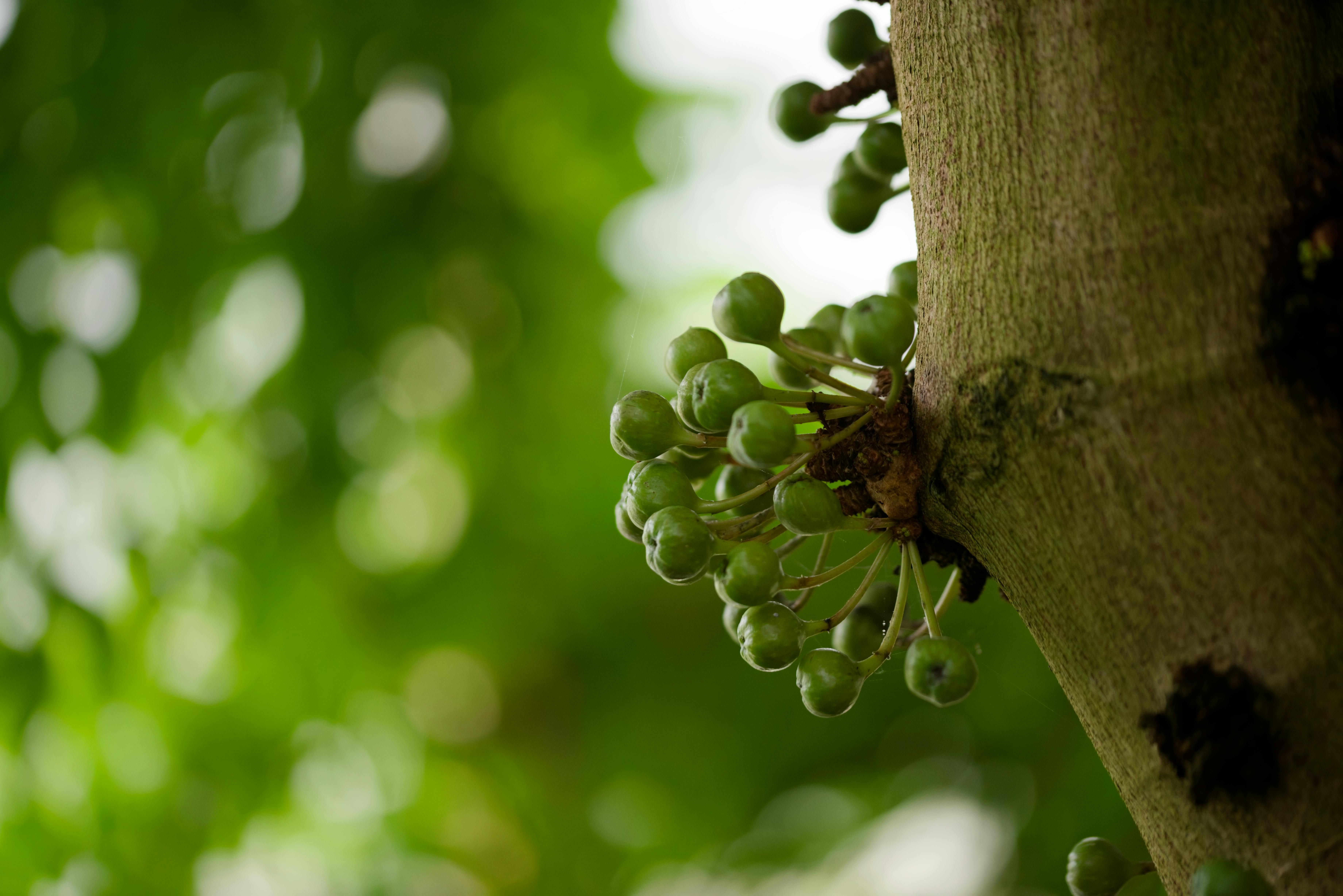 The Abundance Mindset 1