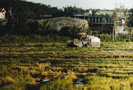 Combine harvester in a rice field during harvest season in Kon Tum, Vietnam.
