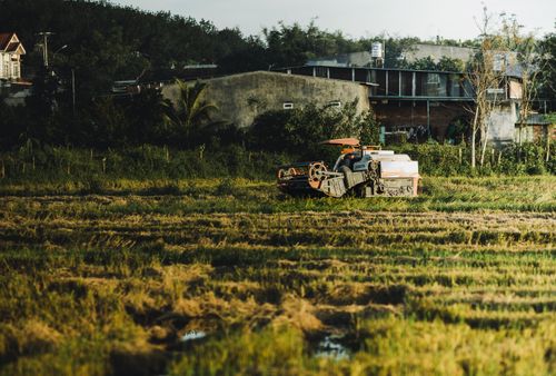 Free Combine harvester in a rice field during harvest season in Kon Tum, Vietnam. Stock Photo
