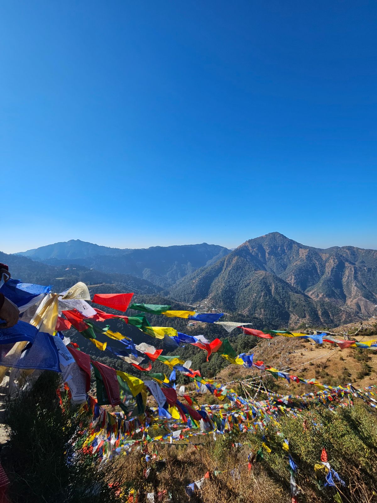 Auli Skiing Adventure — photo 2