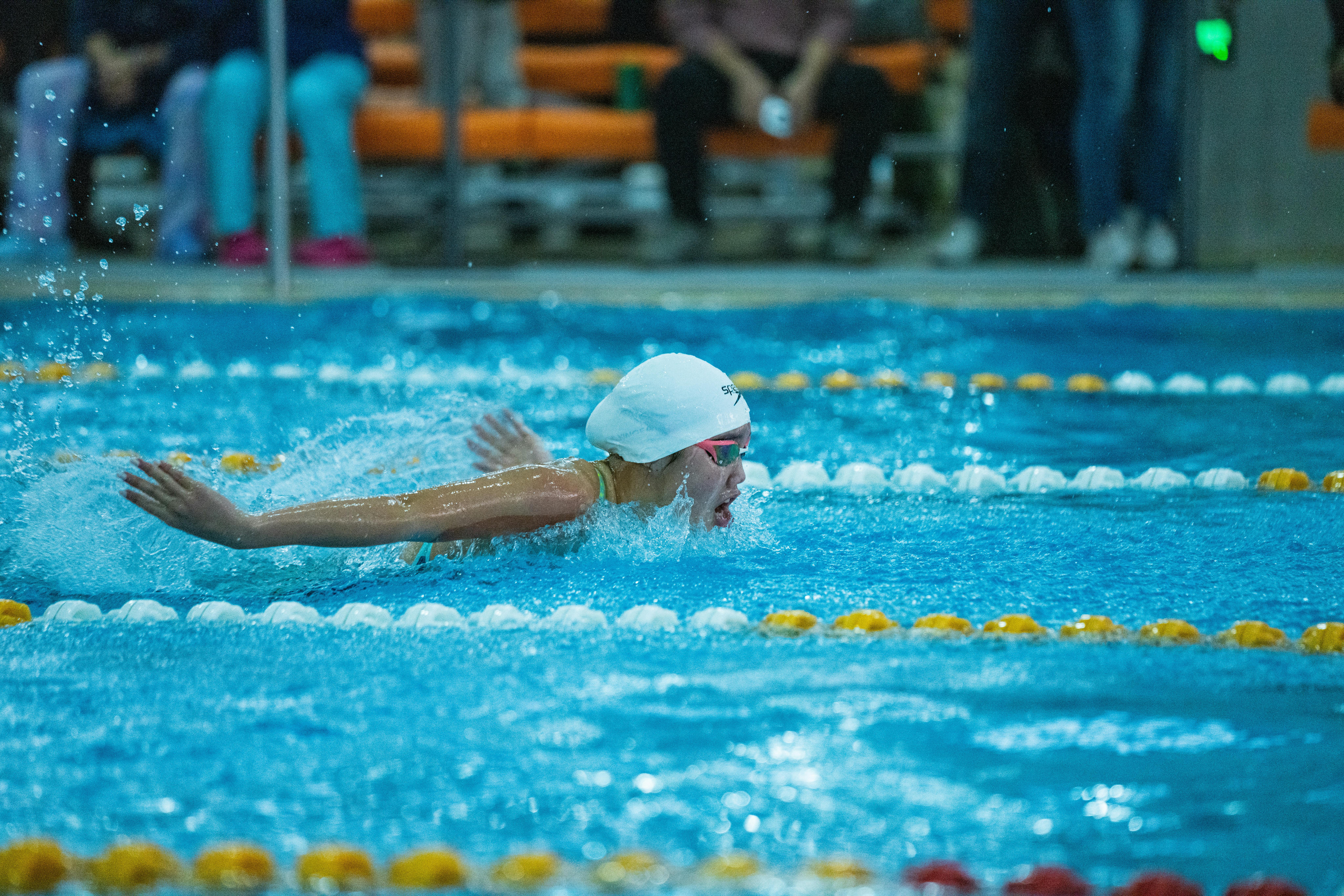 Free stock photo of competitive swimming