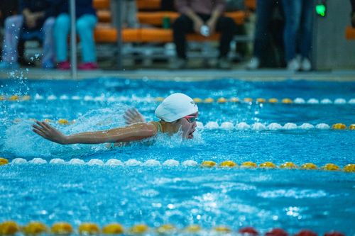 Free A swimmer in mid-stroke during a race in an indoor swimming pool, showcasing competitive spirit. Stock Photo