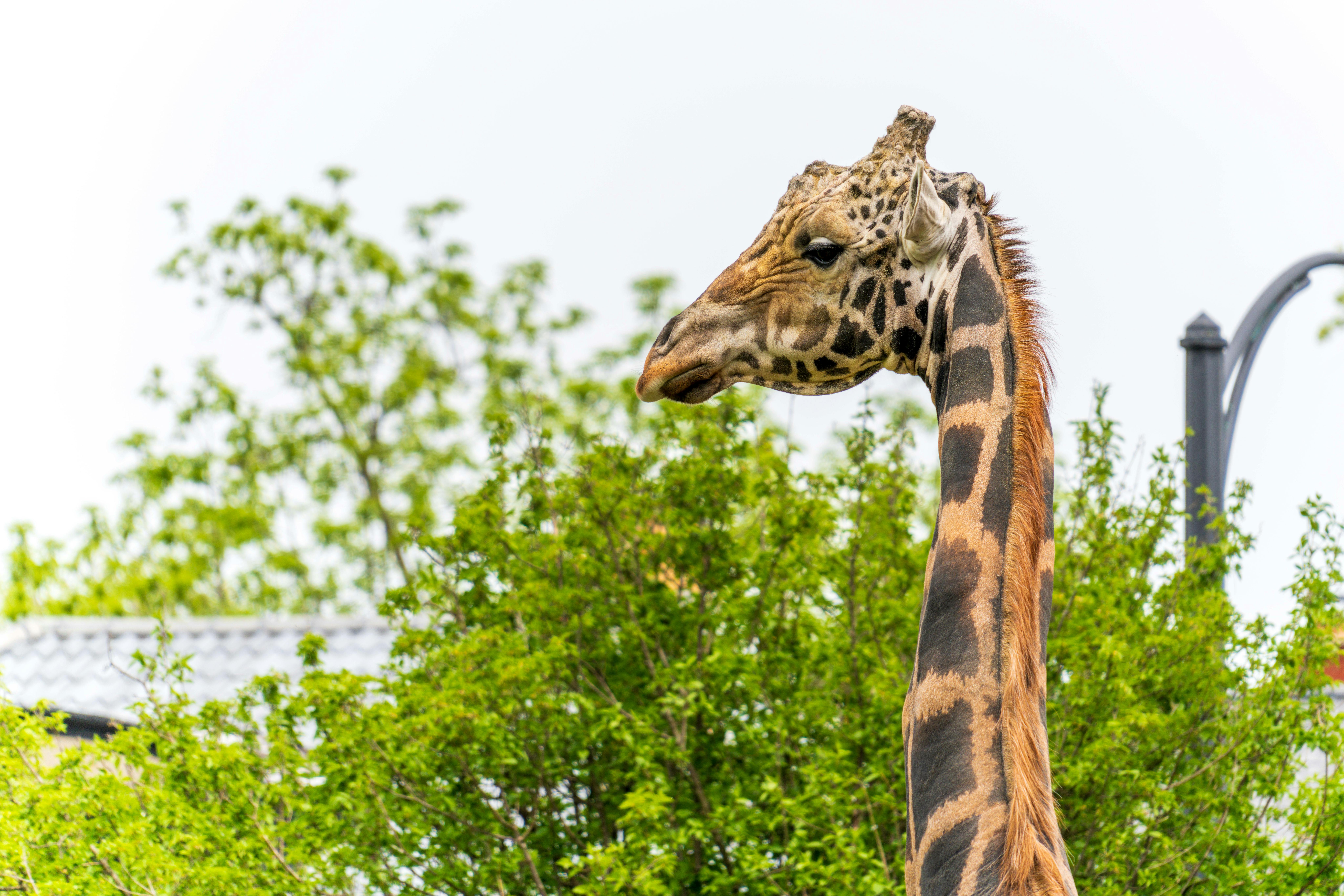 Discover the Hidden Gems of the Perfume World