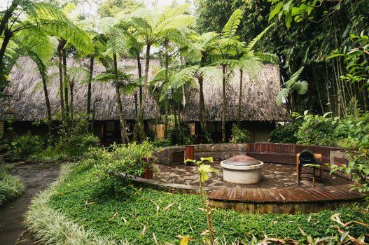 Serene tropical garden featuring a traditional thatched roof hut surrounded by lush greenery.