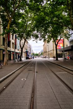 Serene street scene in Karlsruhe, Germany with trees lining the tram tracks and historic buildings.