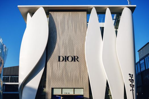 What Defines Luxury Brands? The Ultimate Guide to Exclusivity