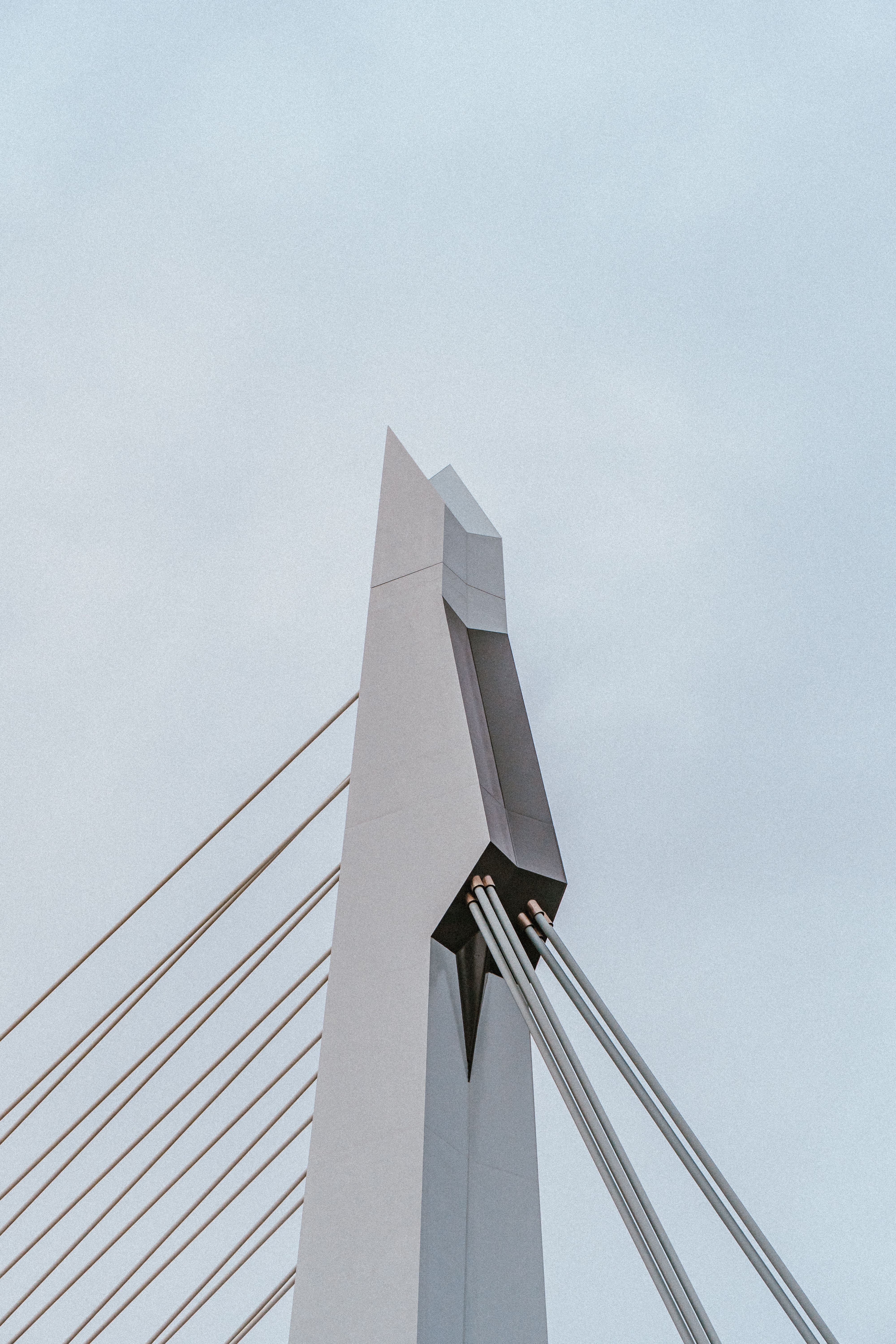 Modern Architecture of Erasmus Bridge in Rotterdam · Free Stock Photo