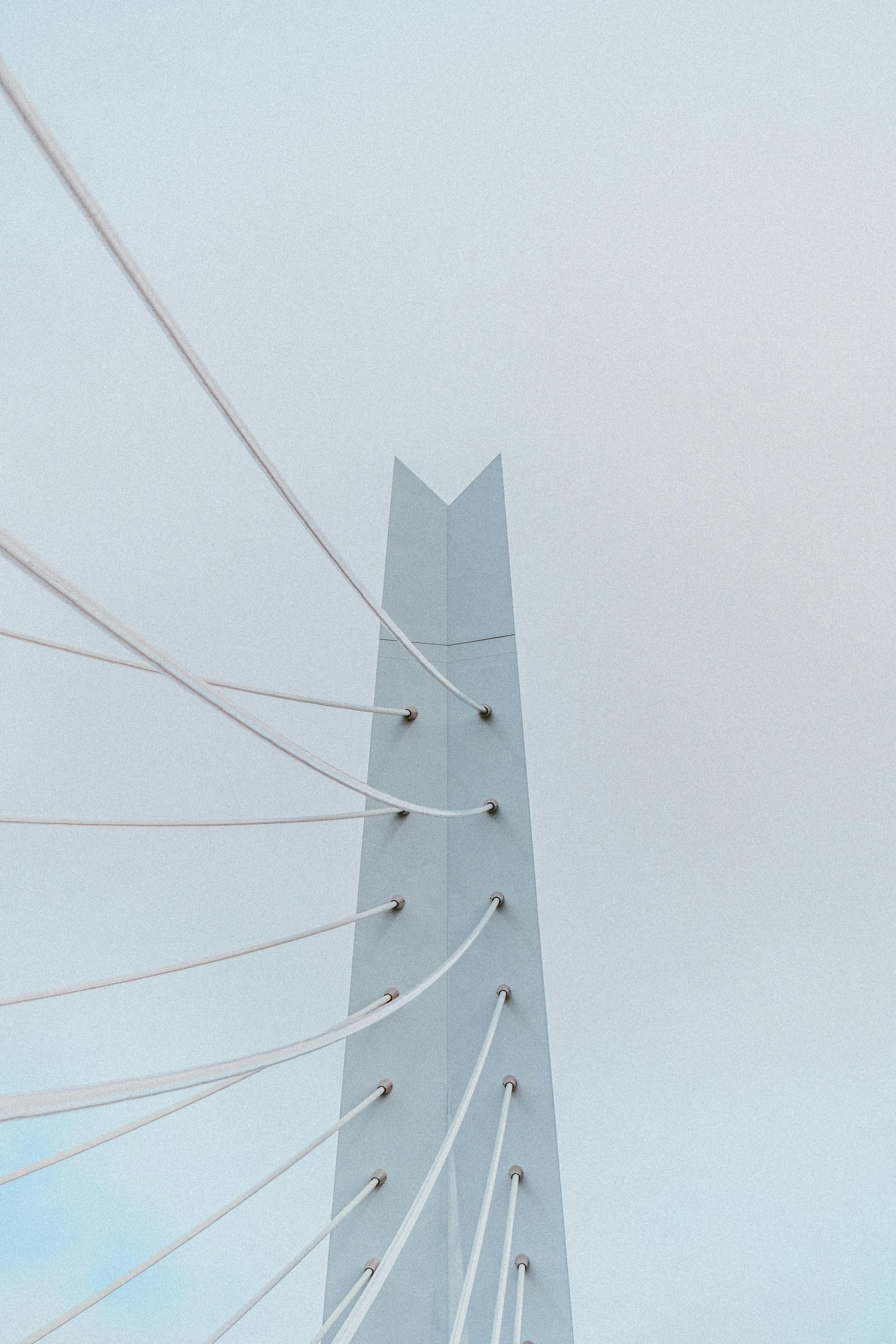 grátis Detalhe do design arquitetônico moderno da Ponte Erasmus, mostrando os cabos e os detalhes geométricos. Foto profissional