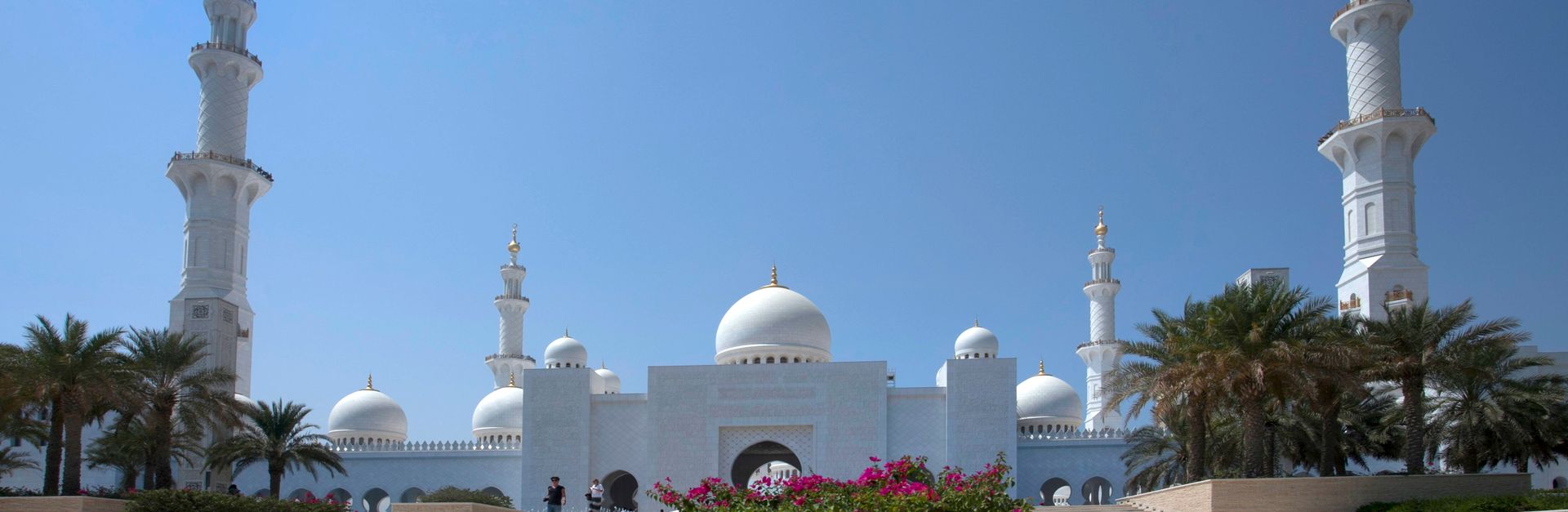 A stunning view of Sheikh Zayed Grand Mosque with clear skies and palm trees.