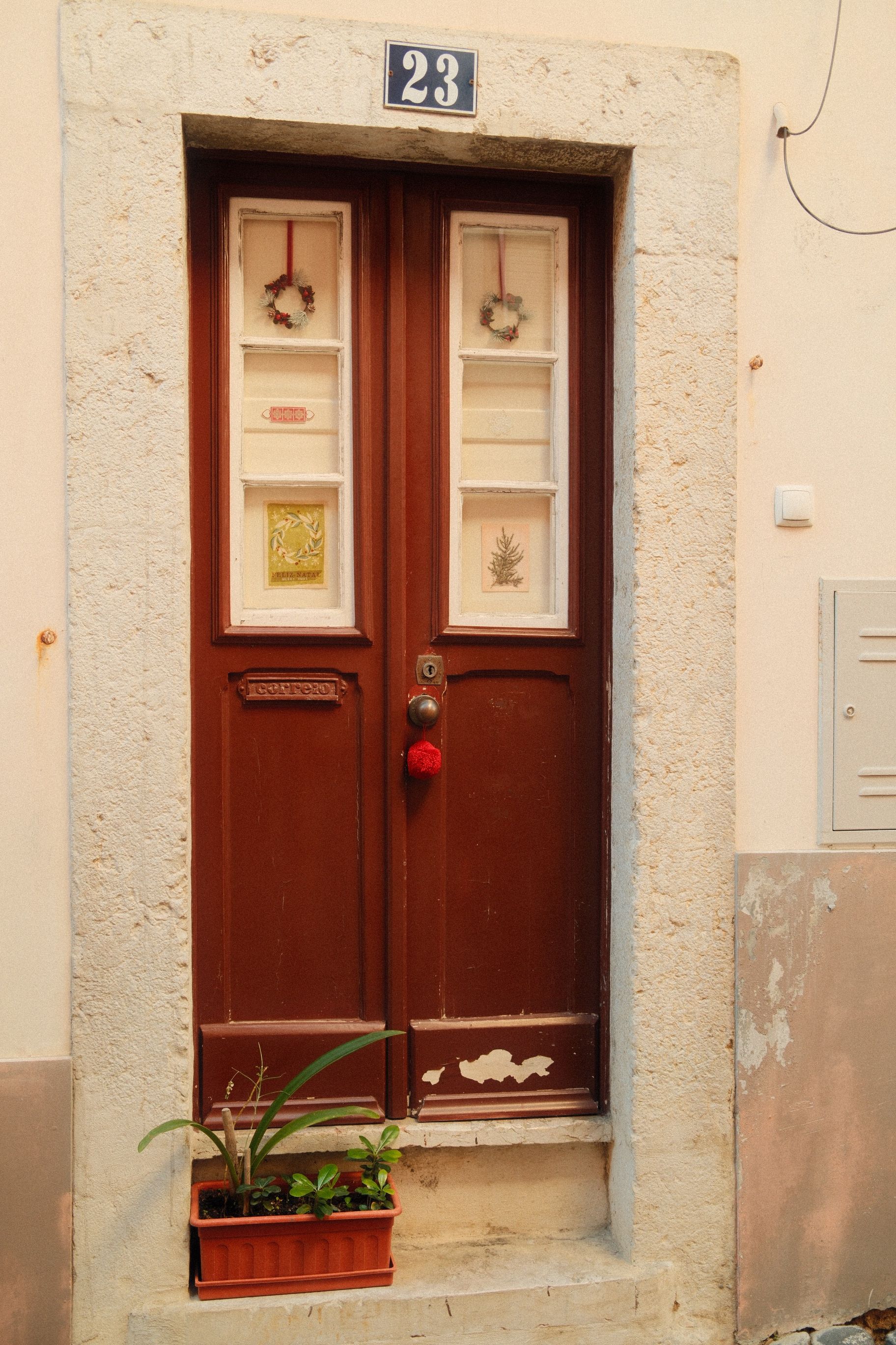 Vintage Lisbon wooden door with decorative wreaths and a potted plant enhances urban charm.