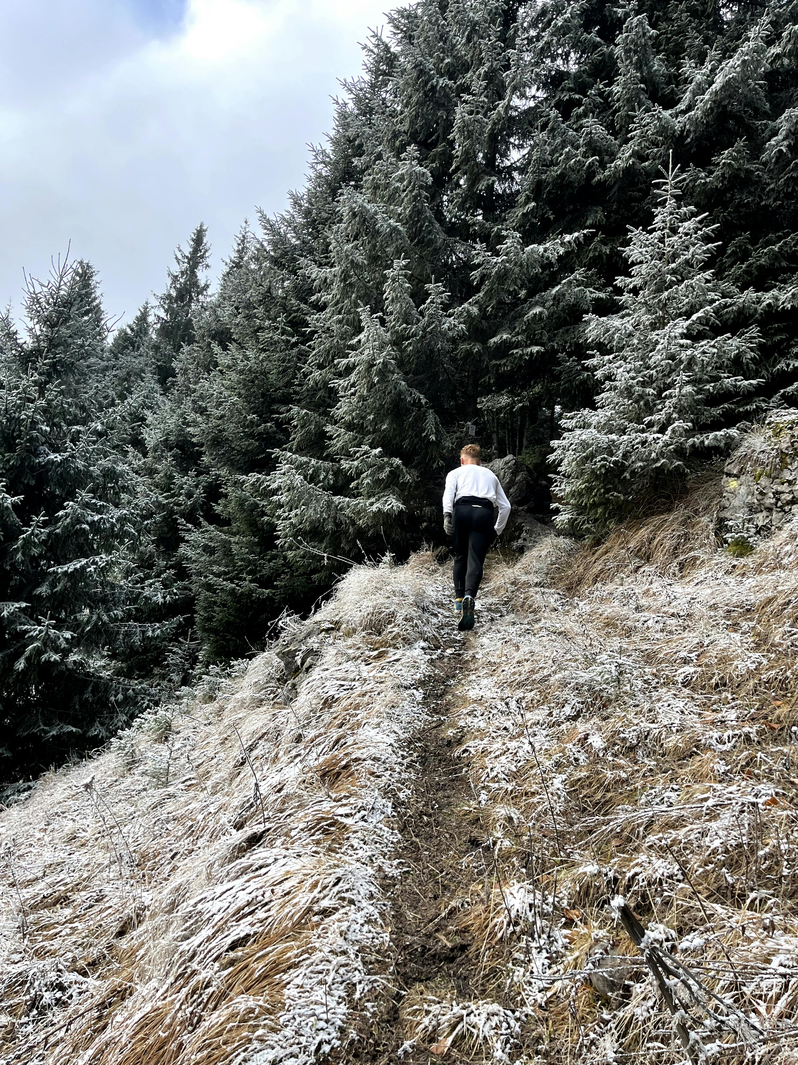 A lone hiker ascends a frosty forest path during winter, surrounded by snow-dusted trees.