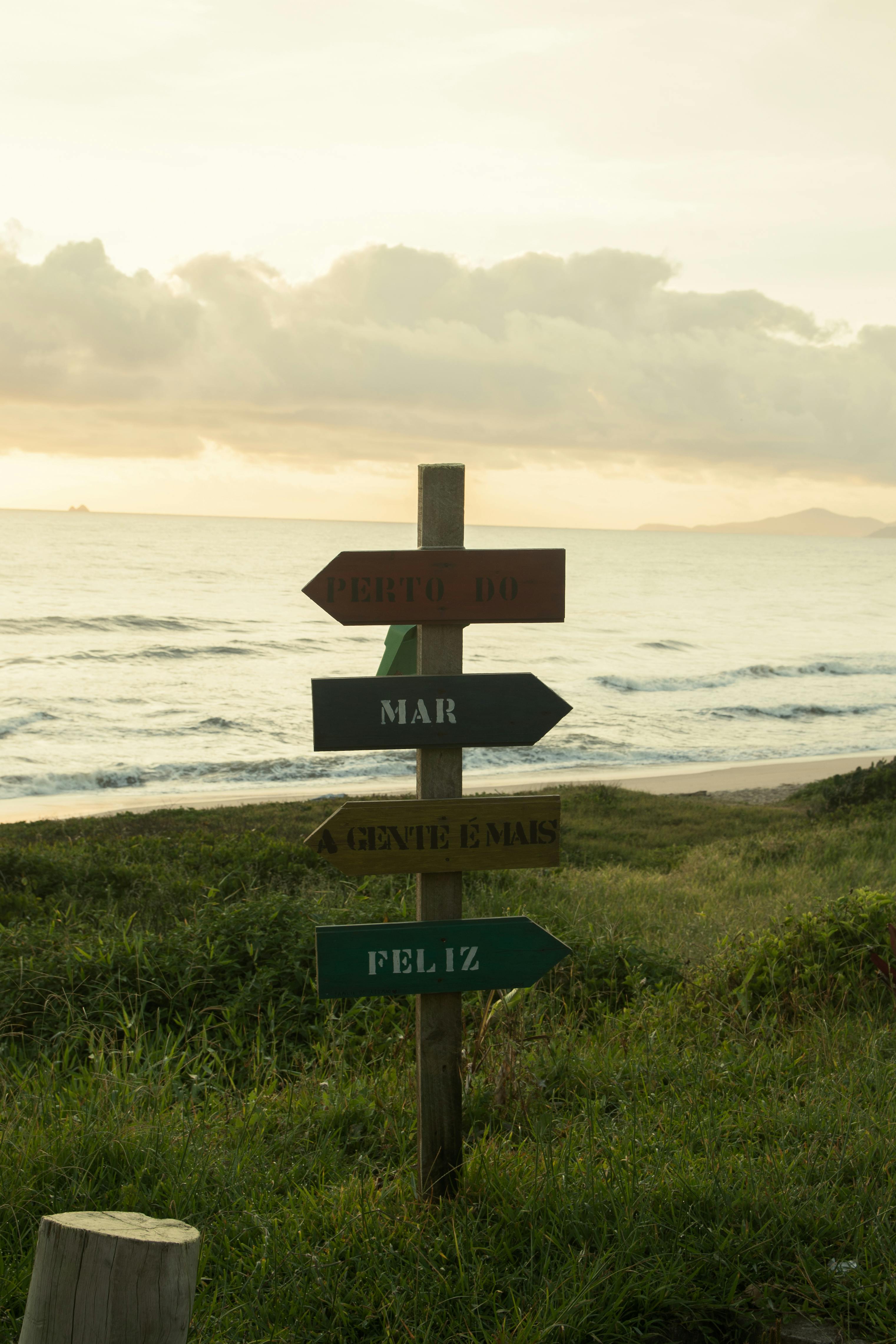 Wooden direction signs by the beach during scenic sunset with ocean view.