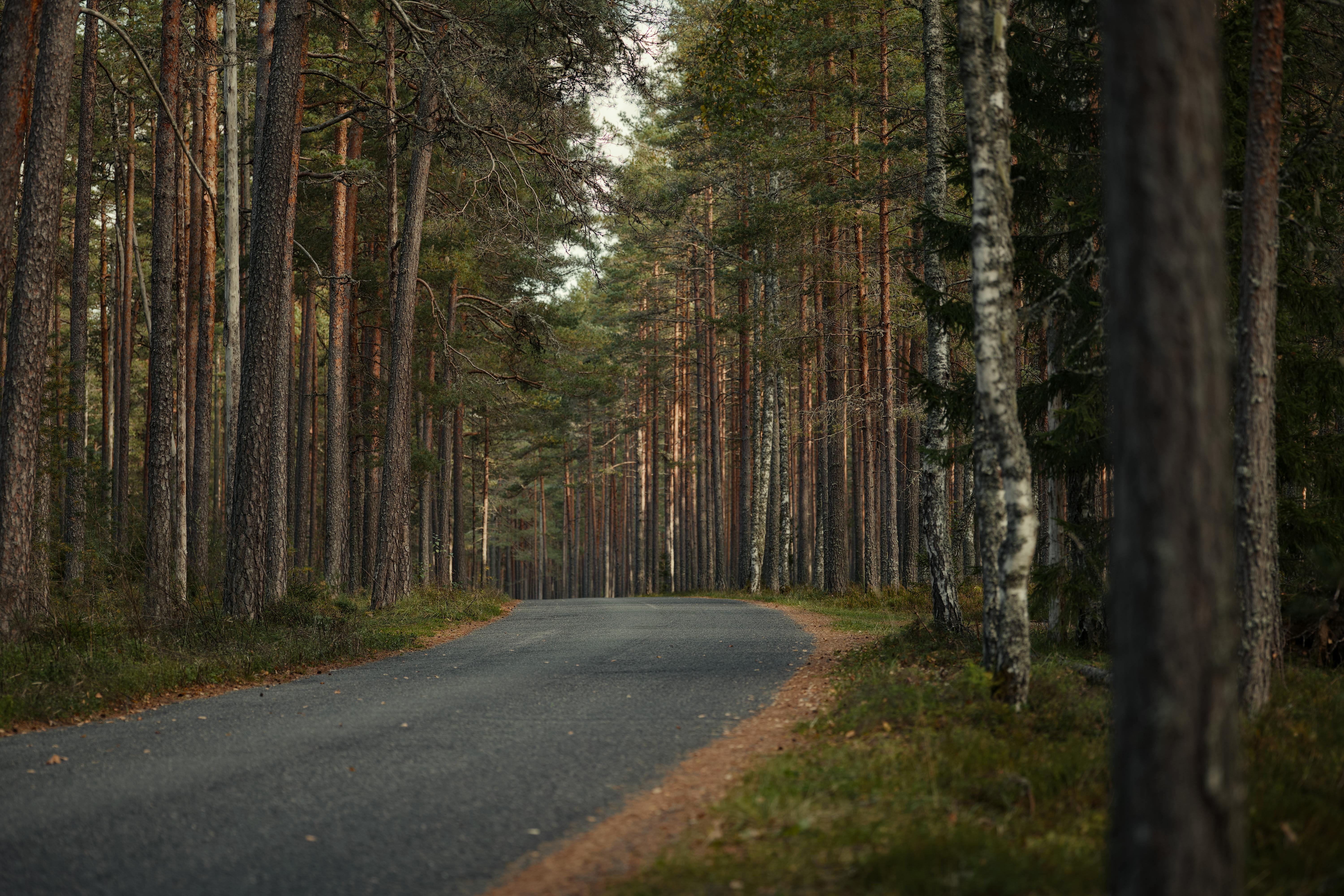 Lahemaa National Park